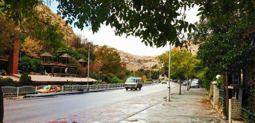 مطعم عريق للبيع في أجمل المناطق السياحية الربوة – ربوة الشام